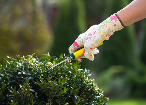 Patio cleaning in Manor House with a fresh and spotless paved outdoor area