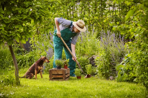 Seasonal planting and hedge care in a manor house landscape