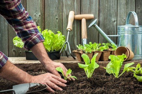 Trained gardener using safety equipment during maintenance