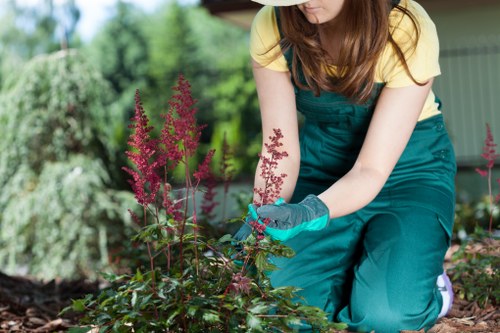 Regular garden maintenance in Manor House for neat paths, borders, and greenery