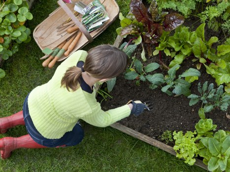 Accessibility-focused digital content for Gardeners Manor House