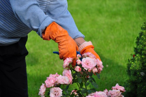 Sustainable recycling practices supporting local borough waste separation