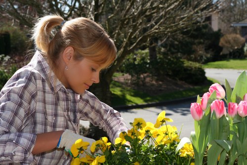 Garden design and planting ideas for Manor House homes