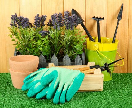 Seasonal garden upkeep in Manor House with hedges, lawns, and shrubs
