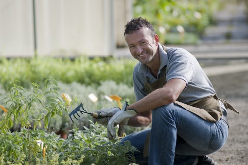 Professional garden clearance in Manor House clearing weeds and branches