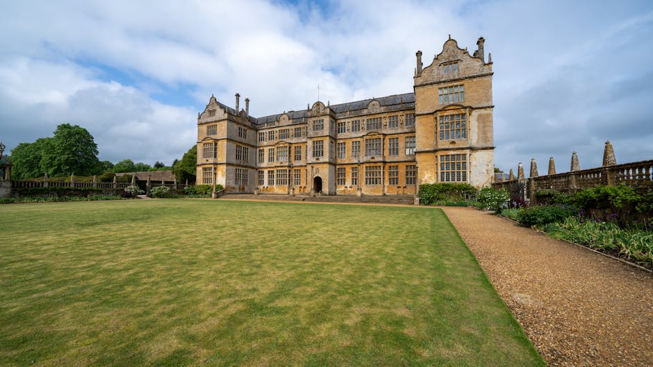 Step by step lawn repair for patchy green areas